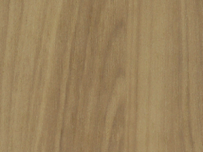 WF467 Pelee Island Pear